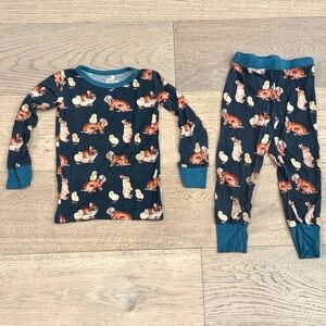Monkeeroos Easter “Cool Rabbits” Bamboo Pajama Set – 3T, GUC